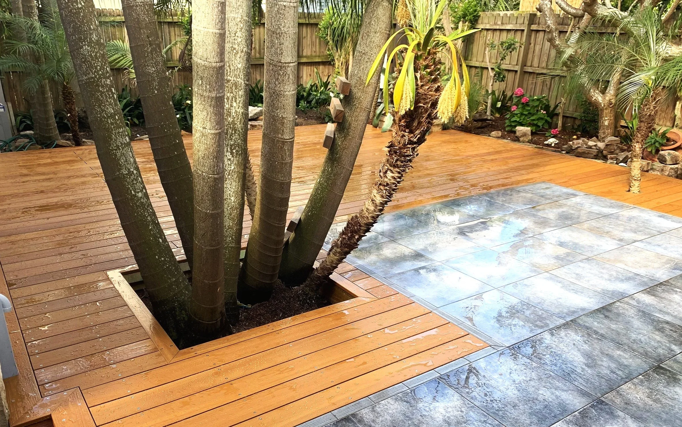 Composite Deck Narrabeen