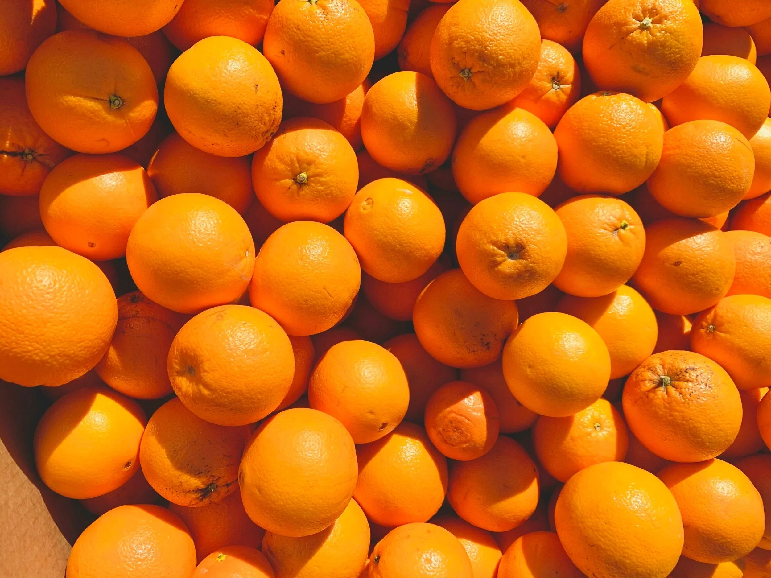 A close-up of numerous fresh oranges piled together.