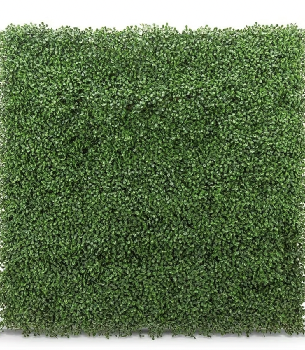 Greenery Boxwood Wall.png