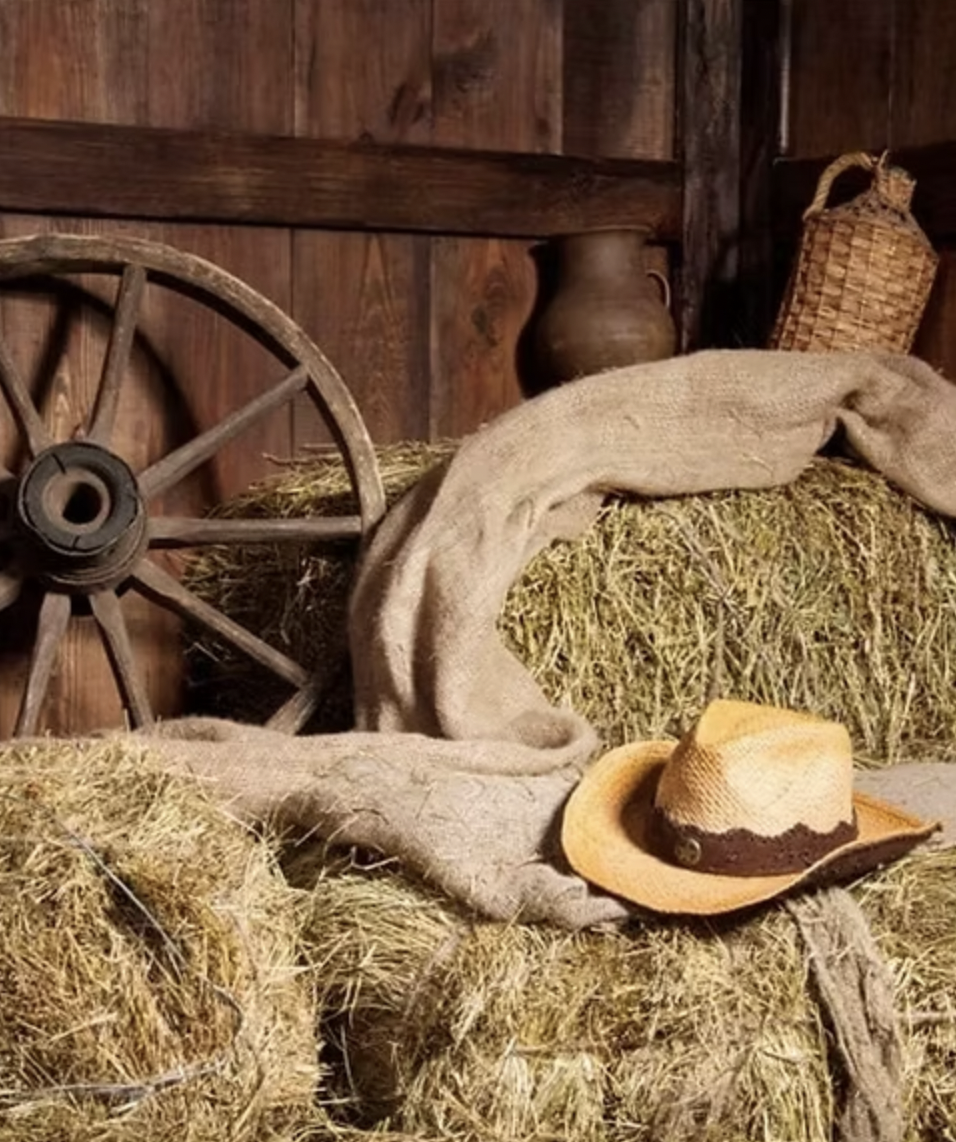 Old Barn Backdrop.png