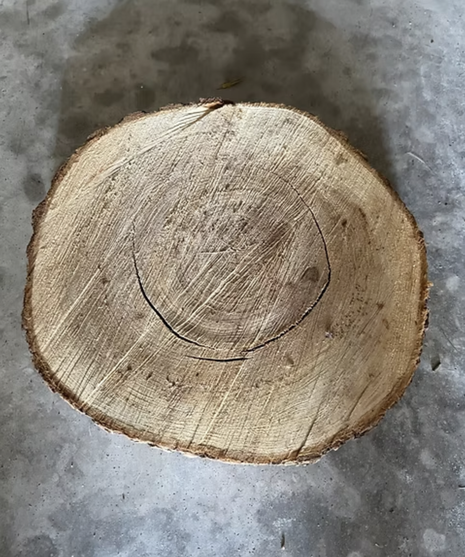 Wood Slices.png