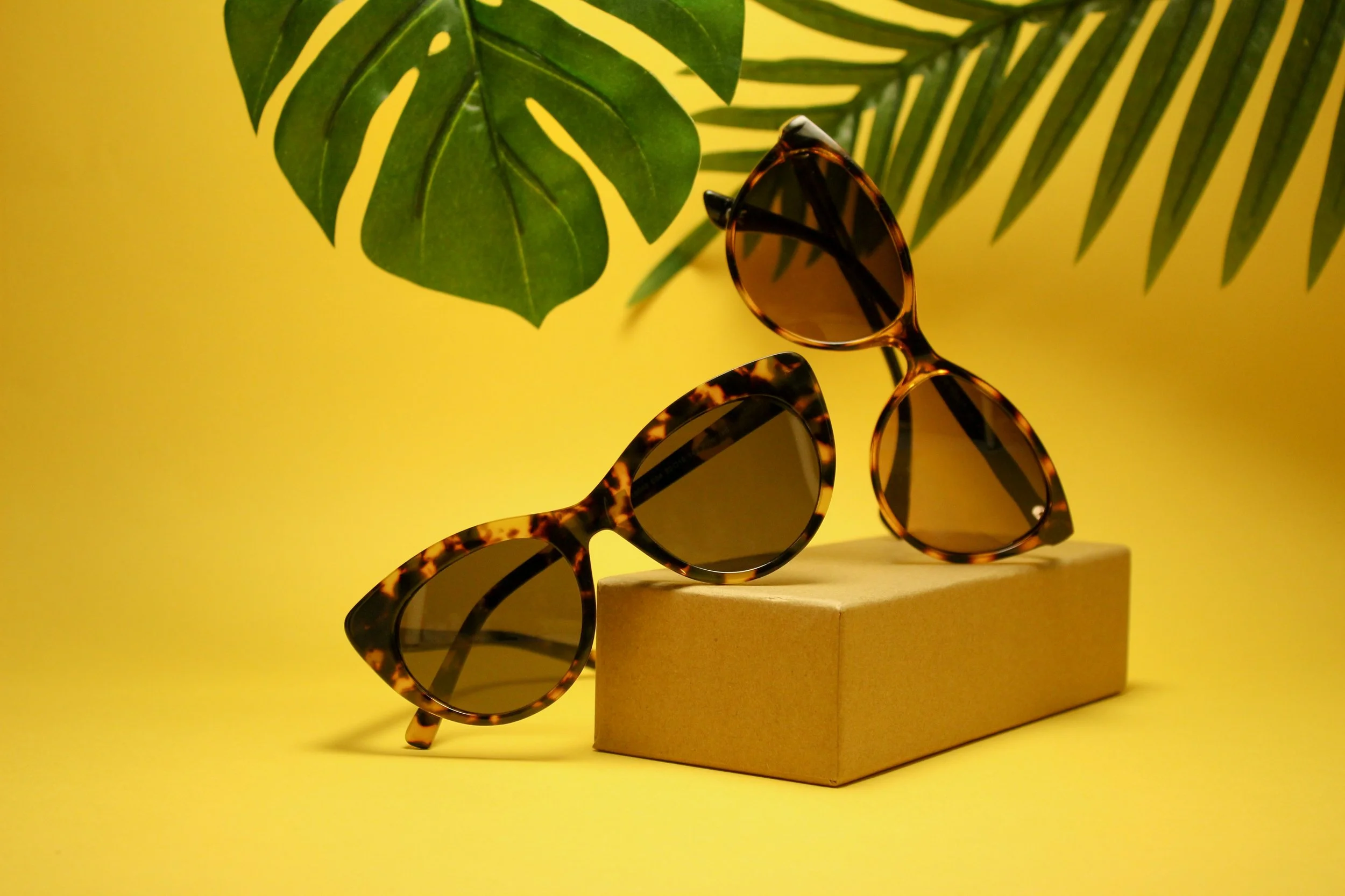 Two pairs of tortoise shell sunglasses with dark lenses, one lying on a beige box and the other balanced on top of it, against a yellow background with large green tropical leaves.