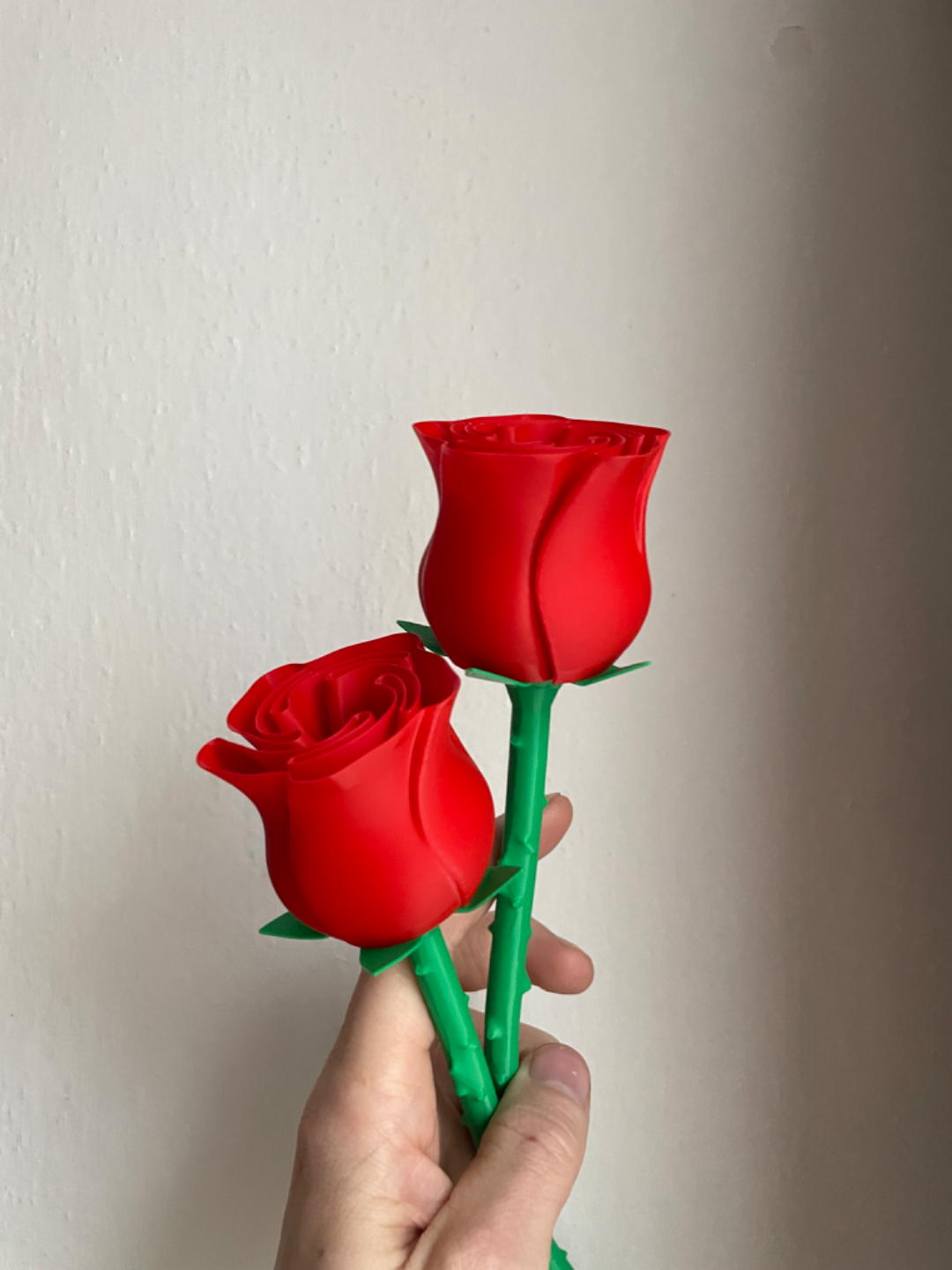 beautiful-rose-w-stem-international-woman-s-day-89698-05.png