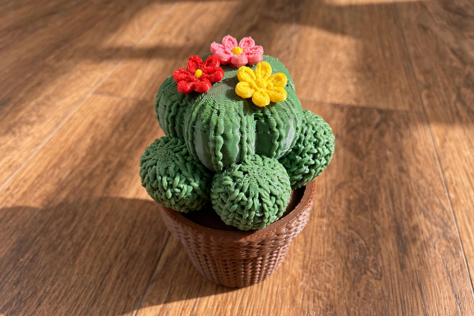 Potted Cactus