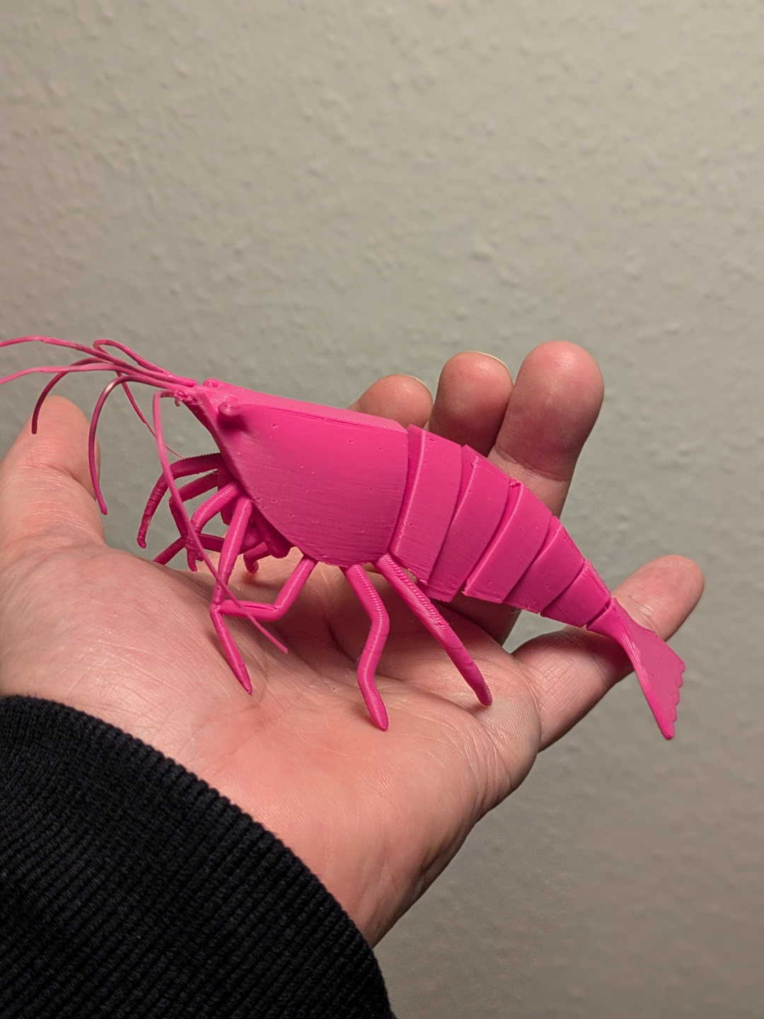 articulated-shrimp-993671-05.png