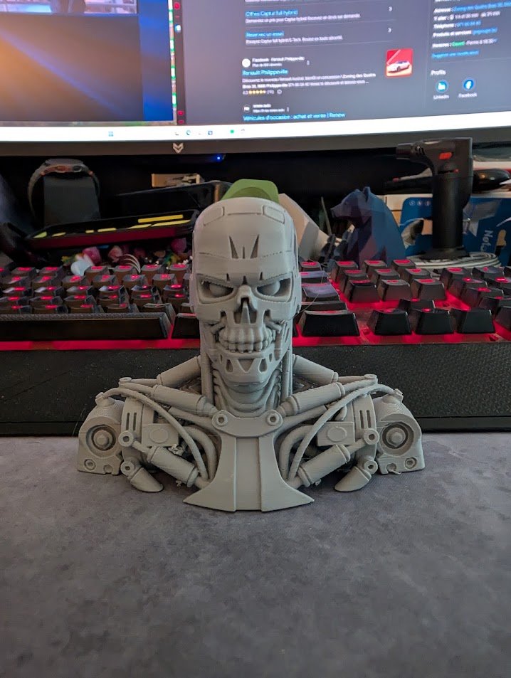 terminator-bust-1492210-01.jpg