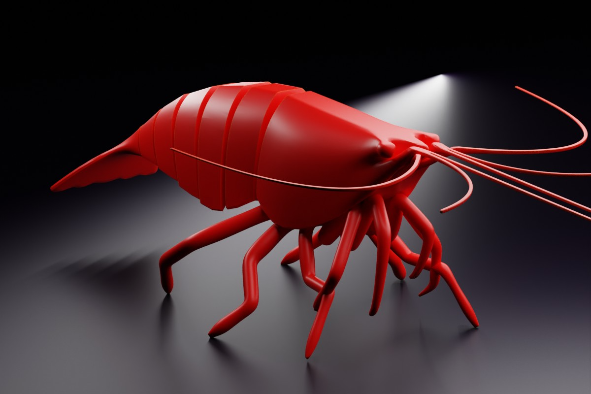 articulated-shrimp-993671-01.png