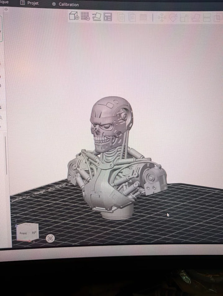 terminator-bust-1492210-02.jpg