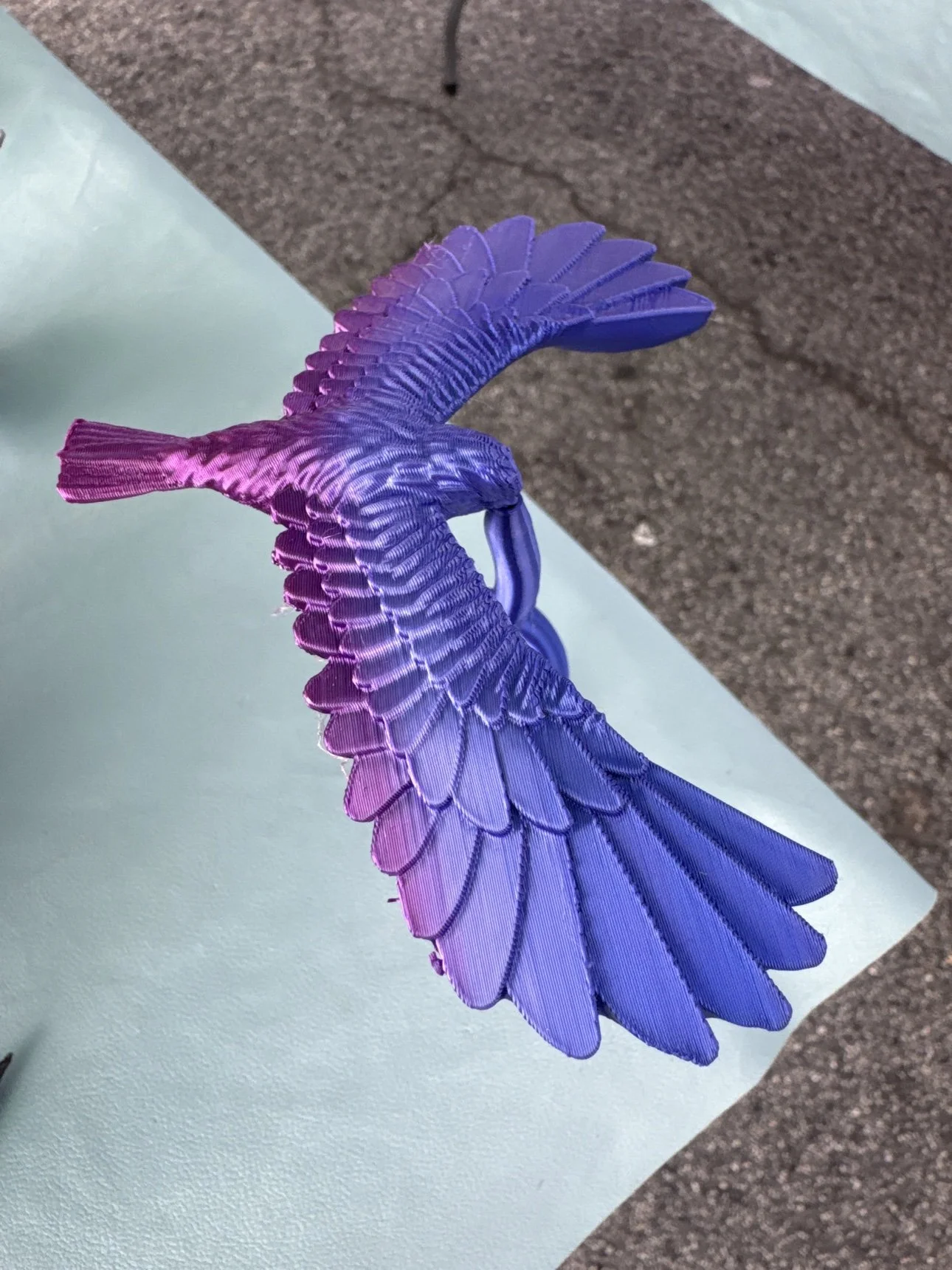 eagle-top.jpg