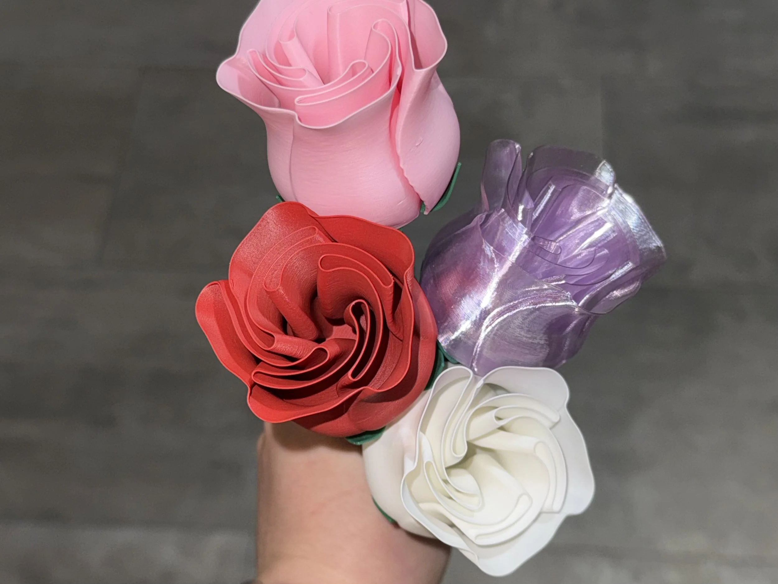 beautiful-rose-w-stem-international-woman-s-day-89698-04.jpg