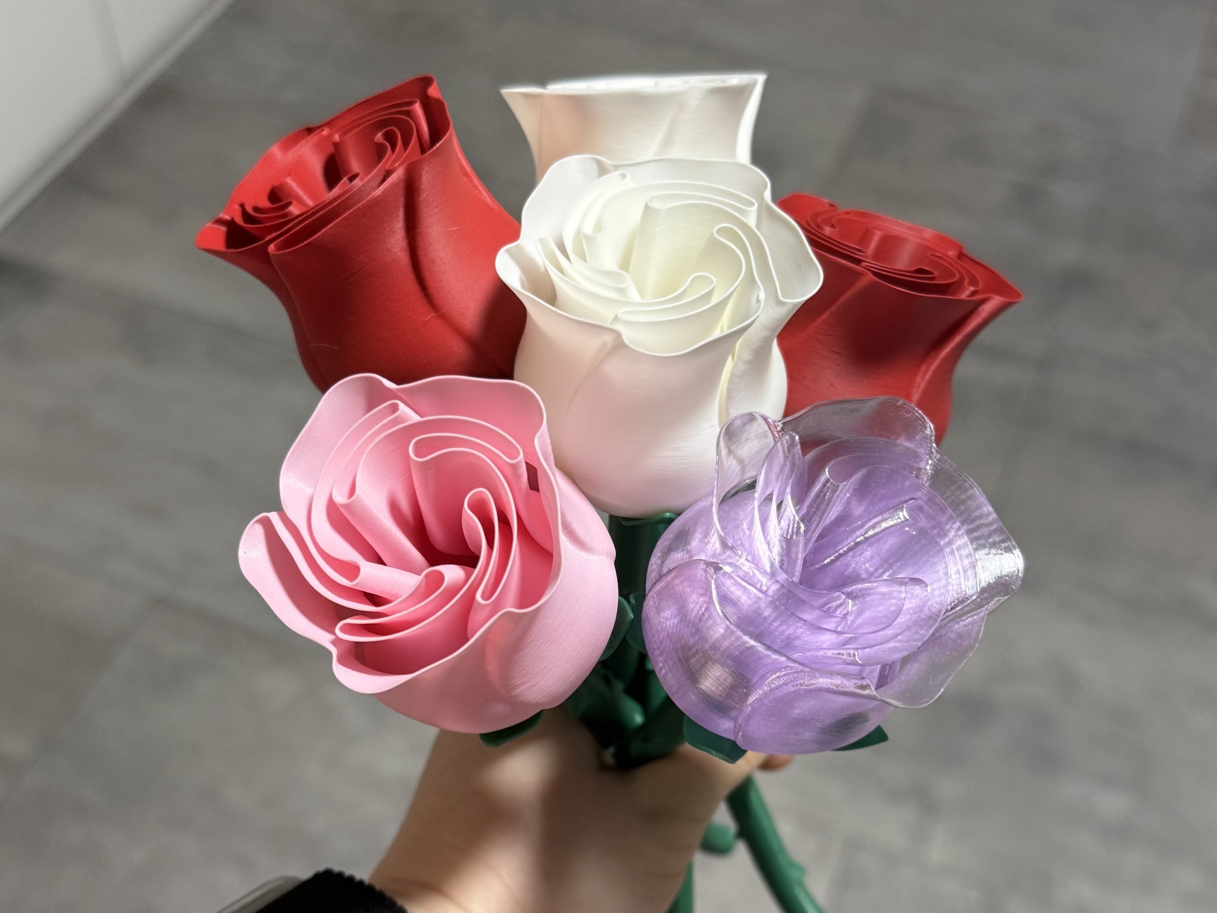 beautiful-rose-w-stem-international-woman-s-day-89698-01.jpg