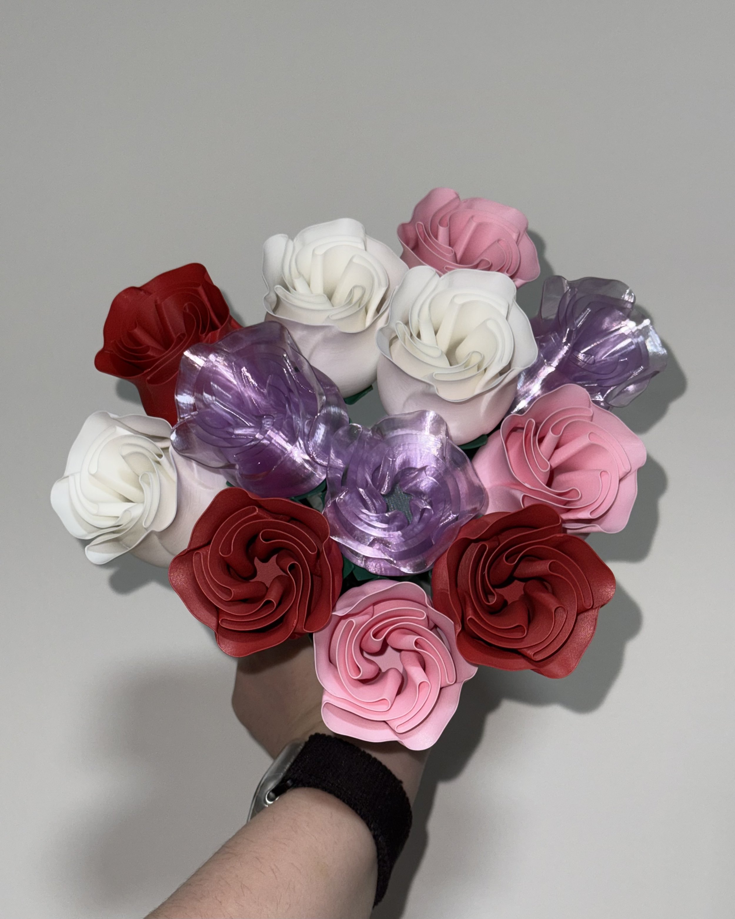 beautiful-rose-w-stem-international-woman-s-day-89698-02.jpg
