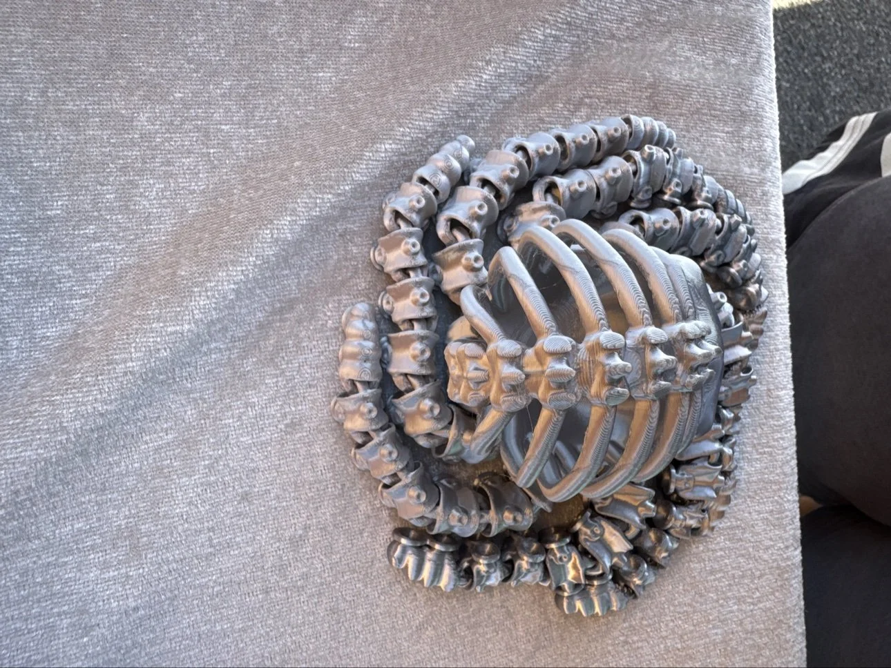 skeleton-octopus-top.jpg