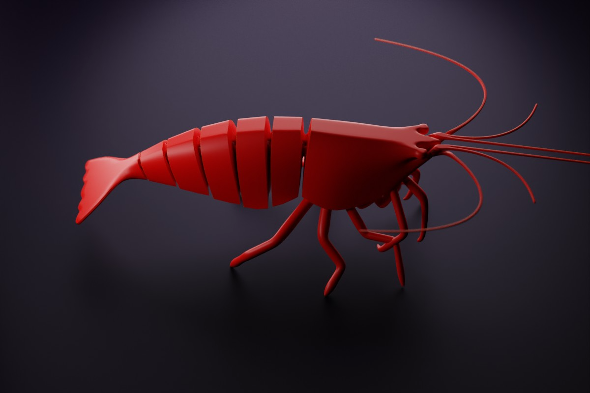 articulated-shrimp-993671-02.png