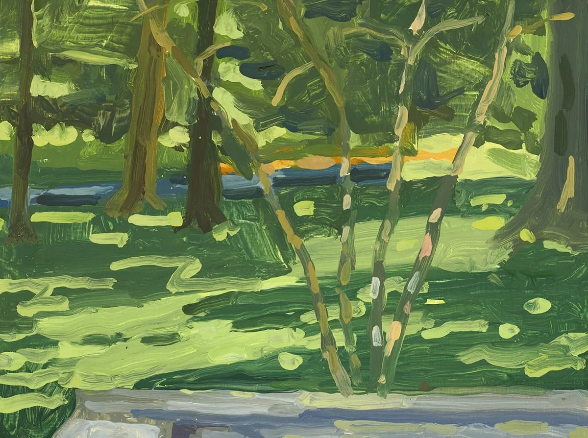   Birch  | 2023 | Oil on panel | 9” x 12” 
