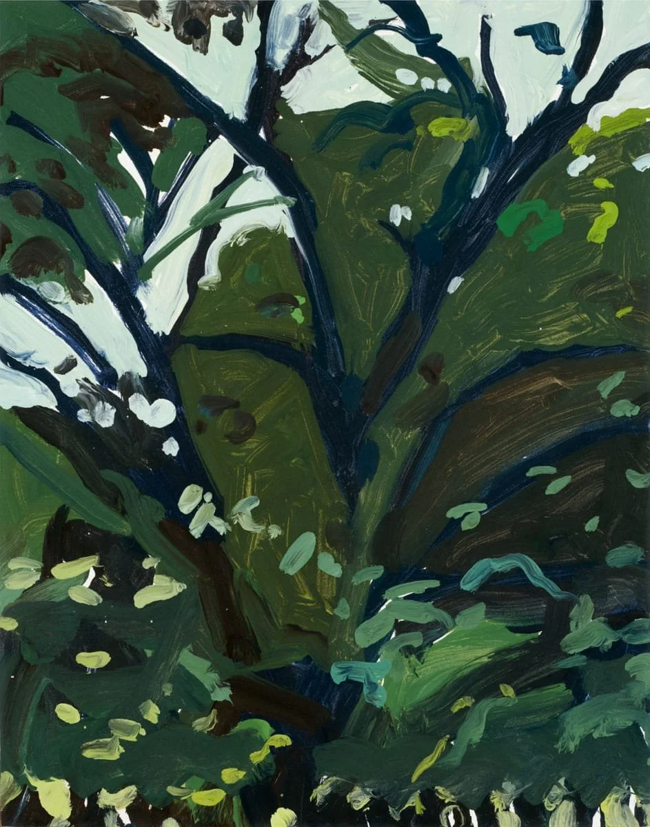   Woodford Mansion Trees  | 2025 | oil on panel | 11 × 14” 