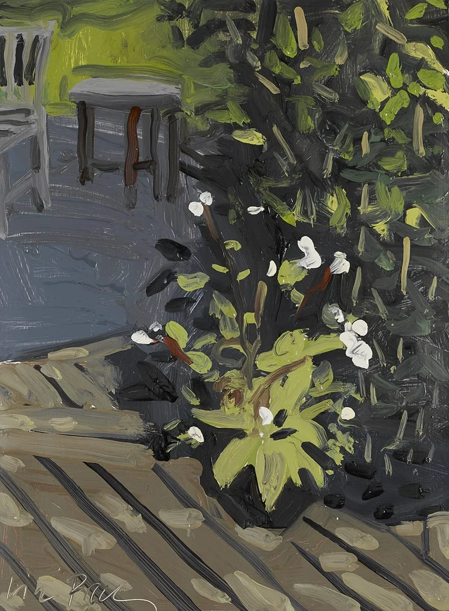   Begonias on the Deck  | 2021 | Oil on paper | 14 x 10” 