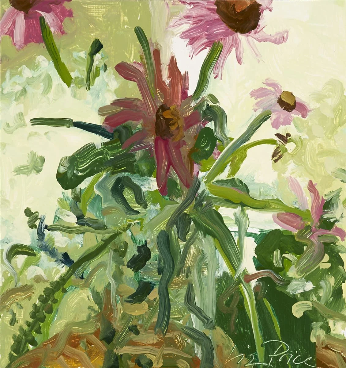   Echinacea  | 2017 | oil on panel | 10 × 10” 