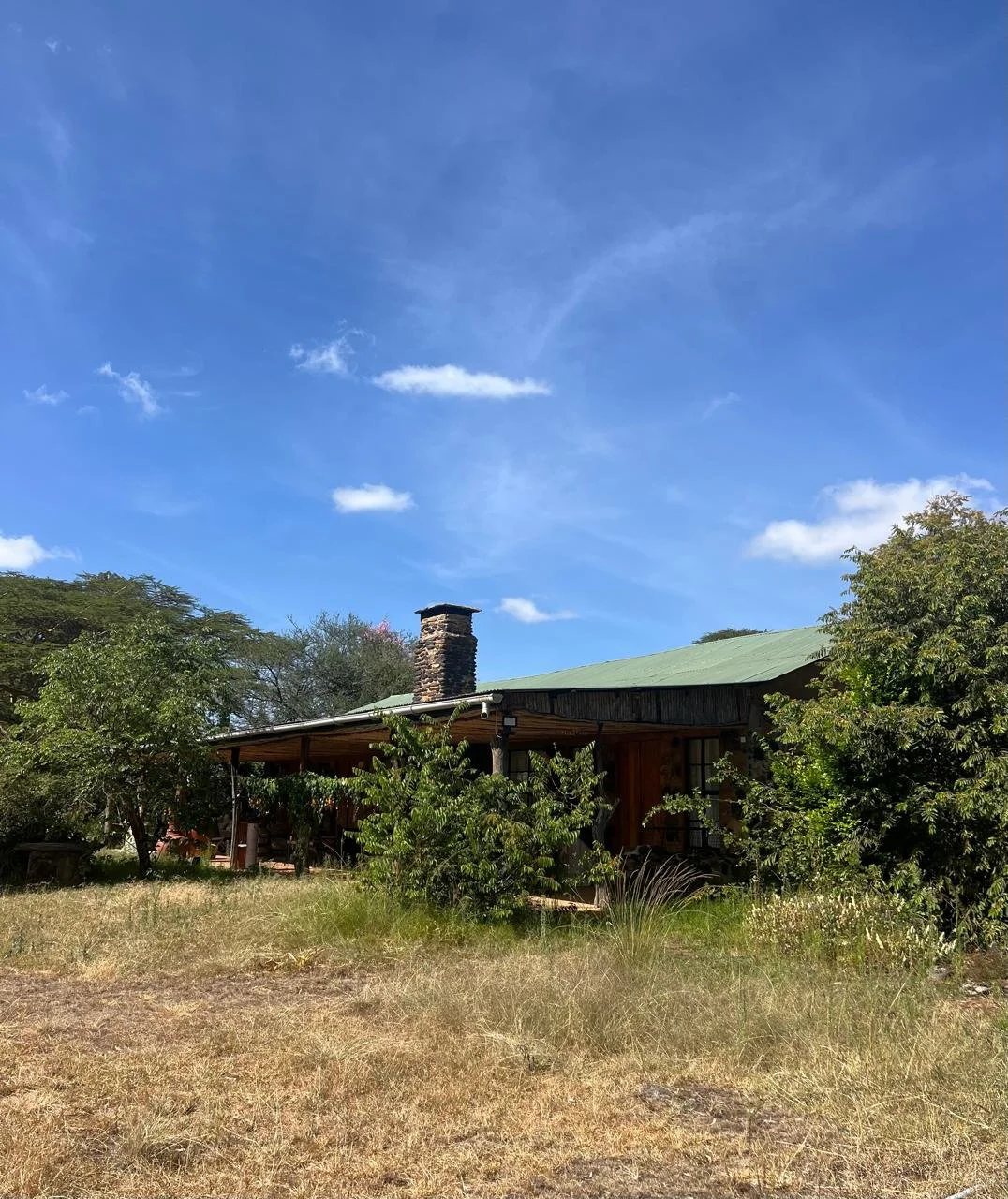 A rustic house with a green roof and chimney surrounded by trees and dry grass under a blue sky with a few clouds.