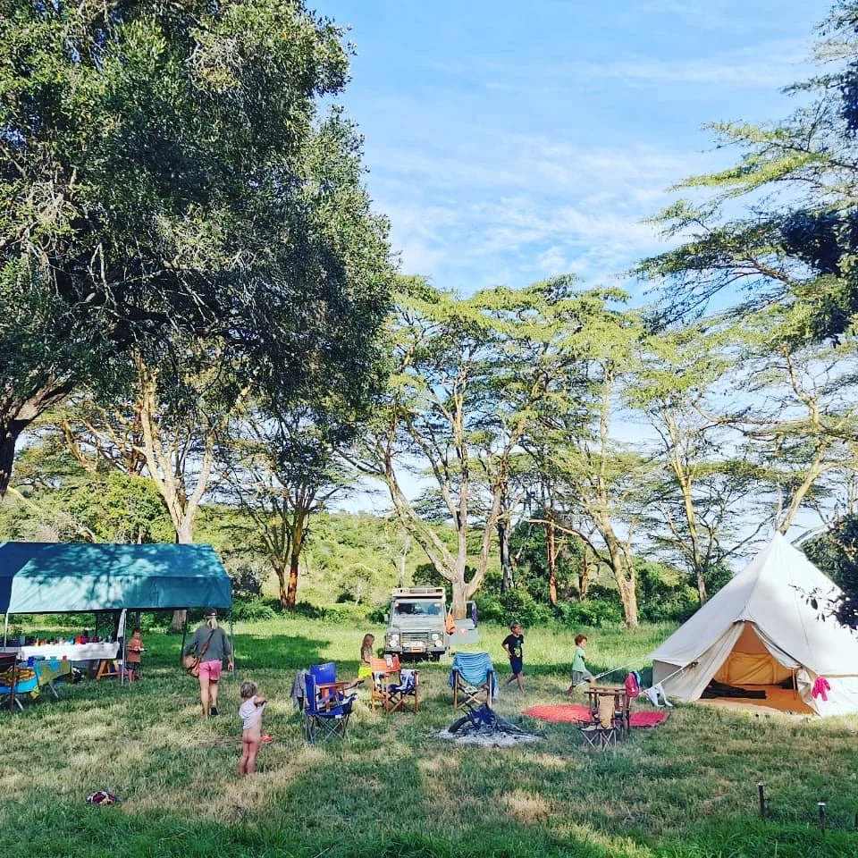 People camping outdoors with a large white teepee tent, smaller canopy tents, and a vehicle in a grassy area surrounded by trees on a sunny day.