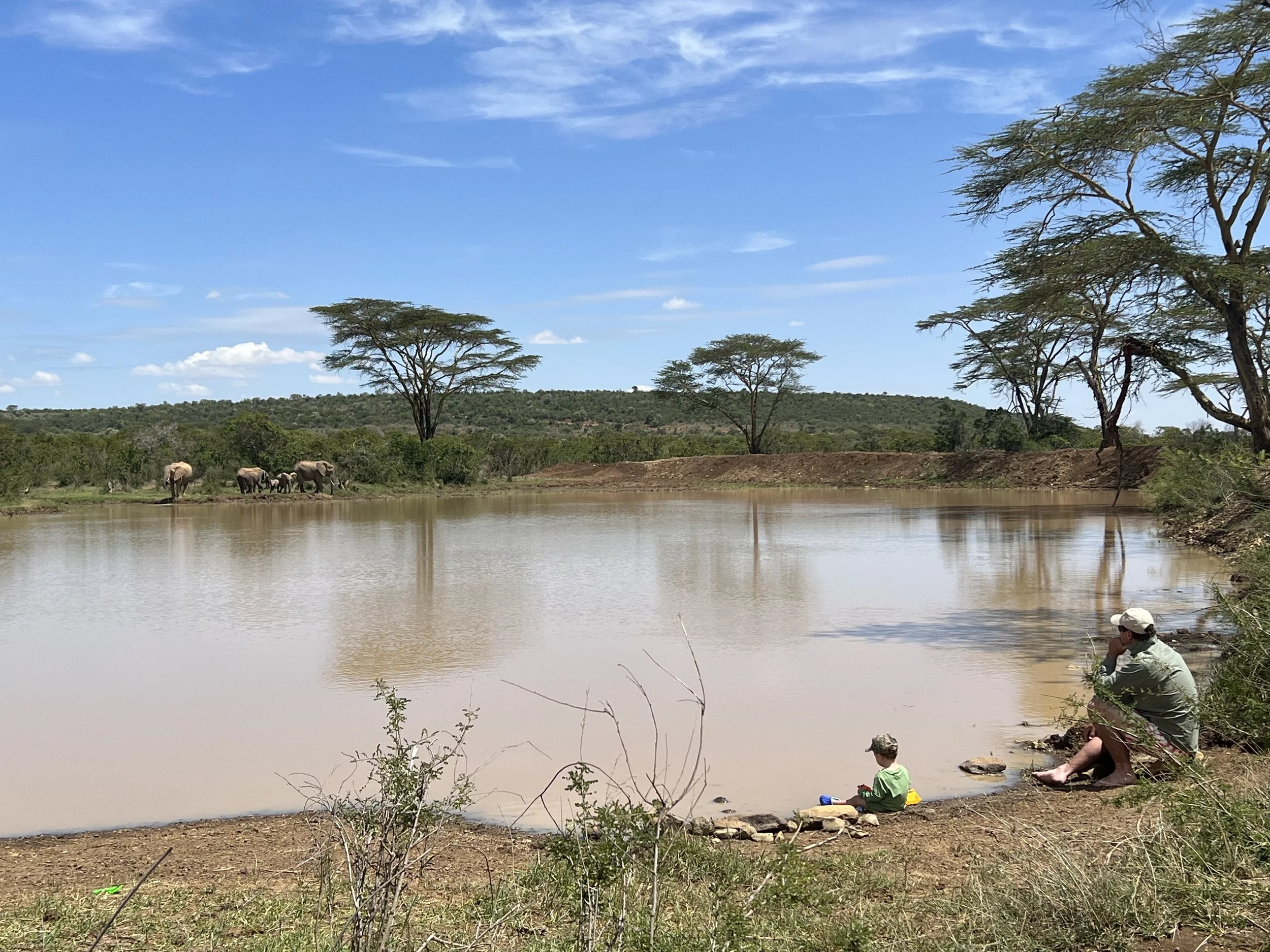 A person and a child sitting by the edge of a muddy river, observing elephants on the opposite bank under a blue sky with trees in the background.