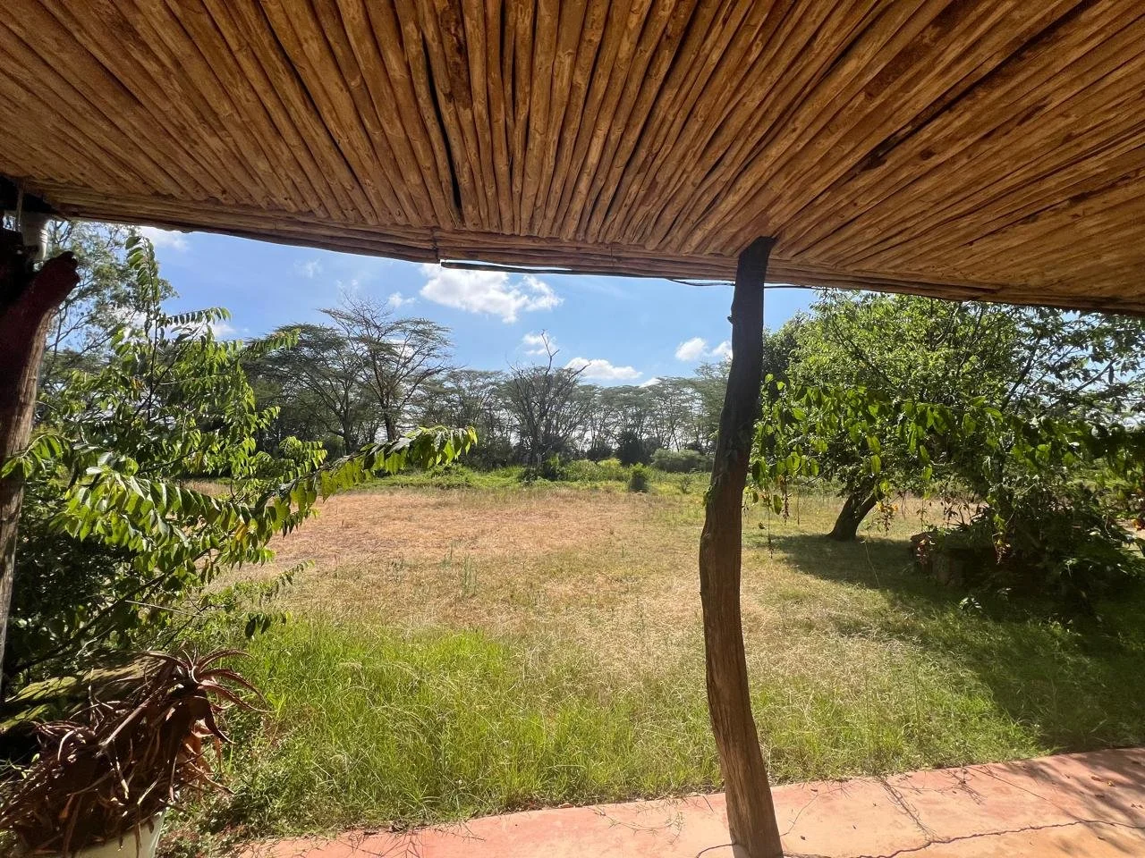 View from a rustic porch with a wooden roof, overlooking a dry grassy field with green trees and a partly cloudy sky.