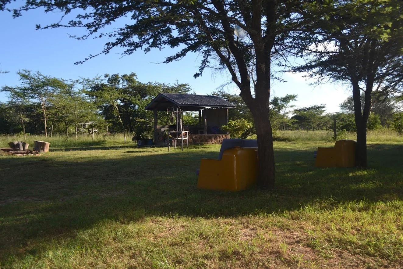 A sunny outdoor scene with green grassy field, trees, wooden benches, and a small shelter with a tin roof in the background.