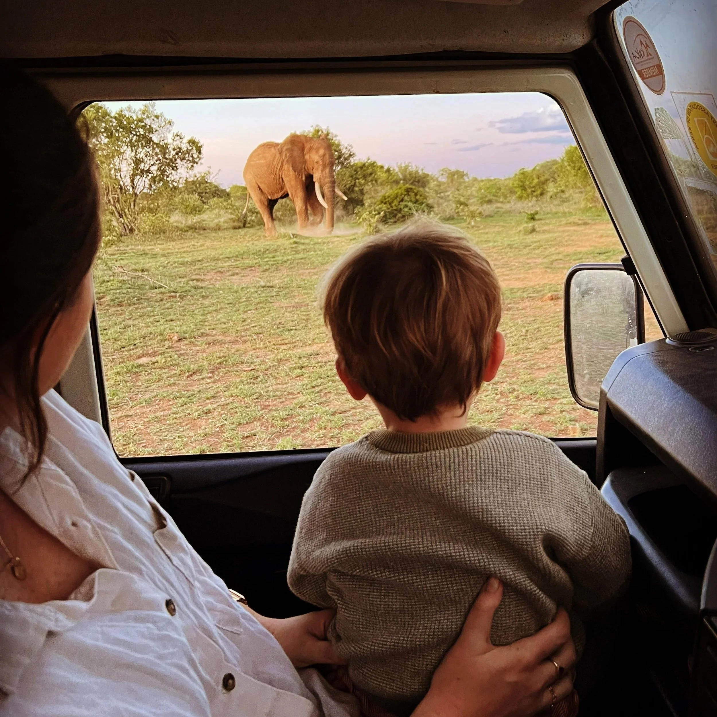 A woman holding a young child inside a vehicle, observing an elephant outside in a savannah landscape.
