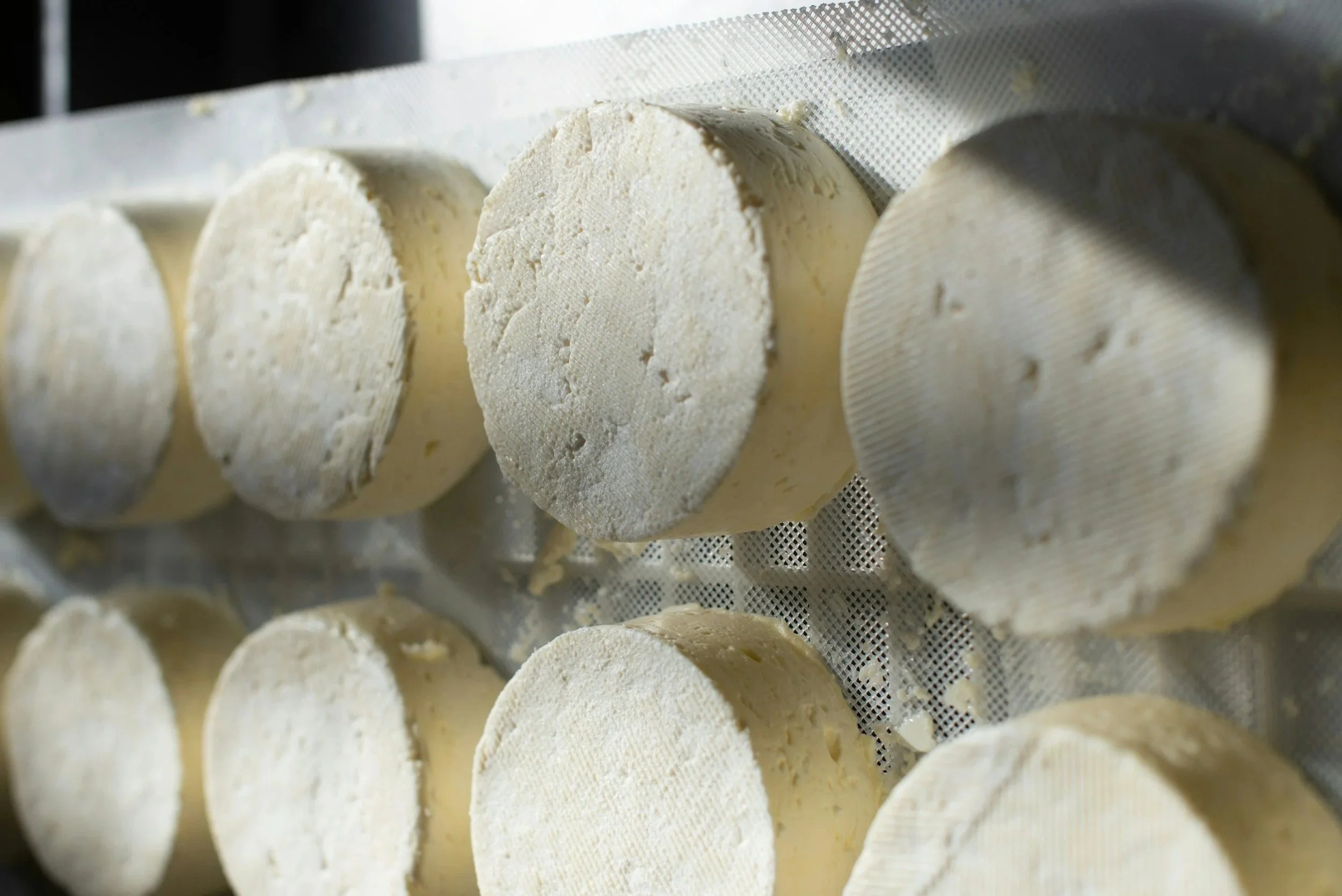 Several blocks of cheese cooling on a metal rack.