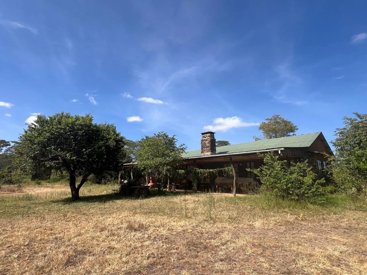 A rustic house with a green metal roof, a stone chimney, and wooden exterior, surrounded by trees, on a grassy field under a bright blue sky with a few clouds.