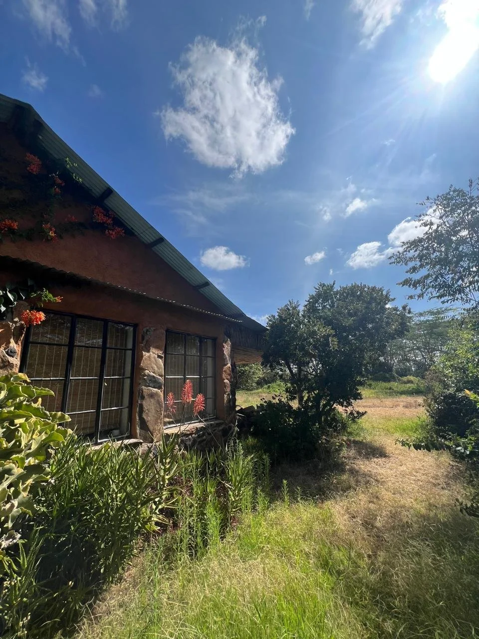 A rustic house with large windows, surrounded by greenery and plants, under a bright blue sky with scattered clouds and sunlight.