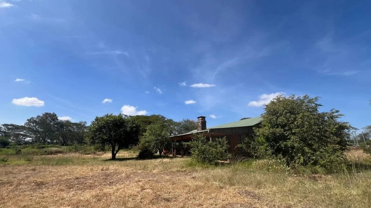 A rural landscape with a house, trees, and a clear blue sky.