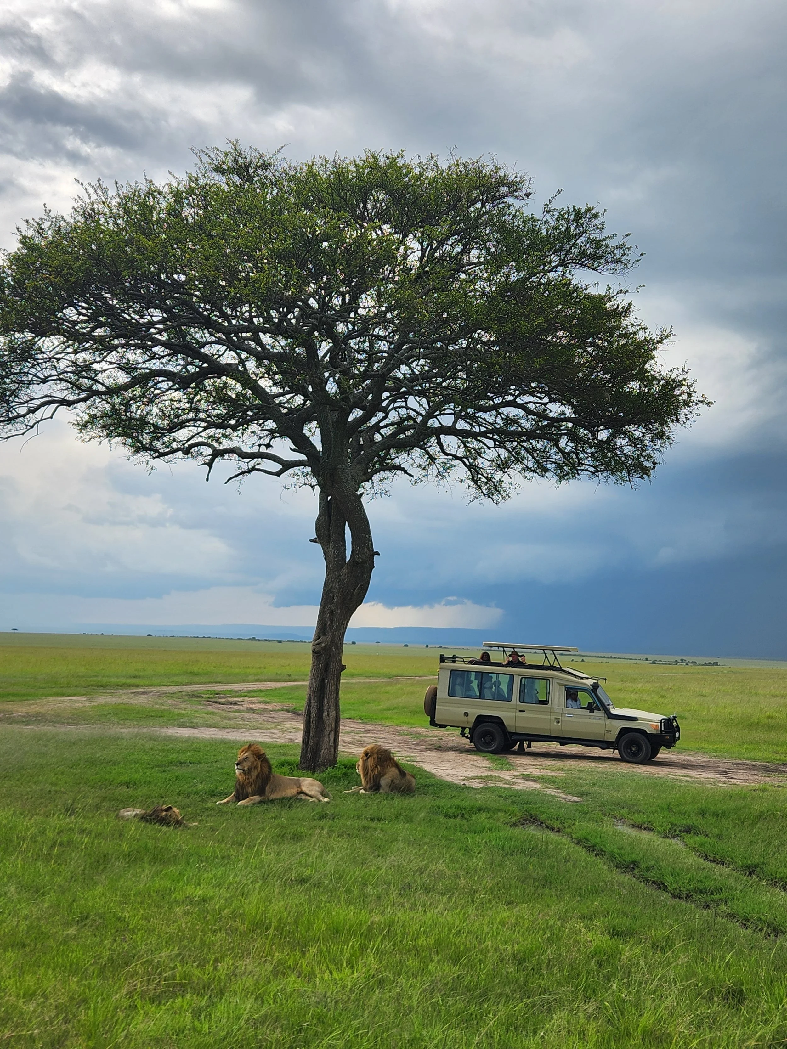 Kenya.jpg