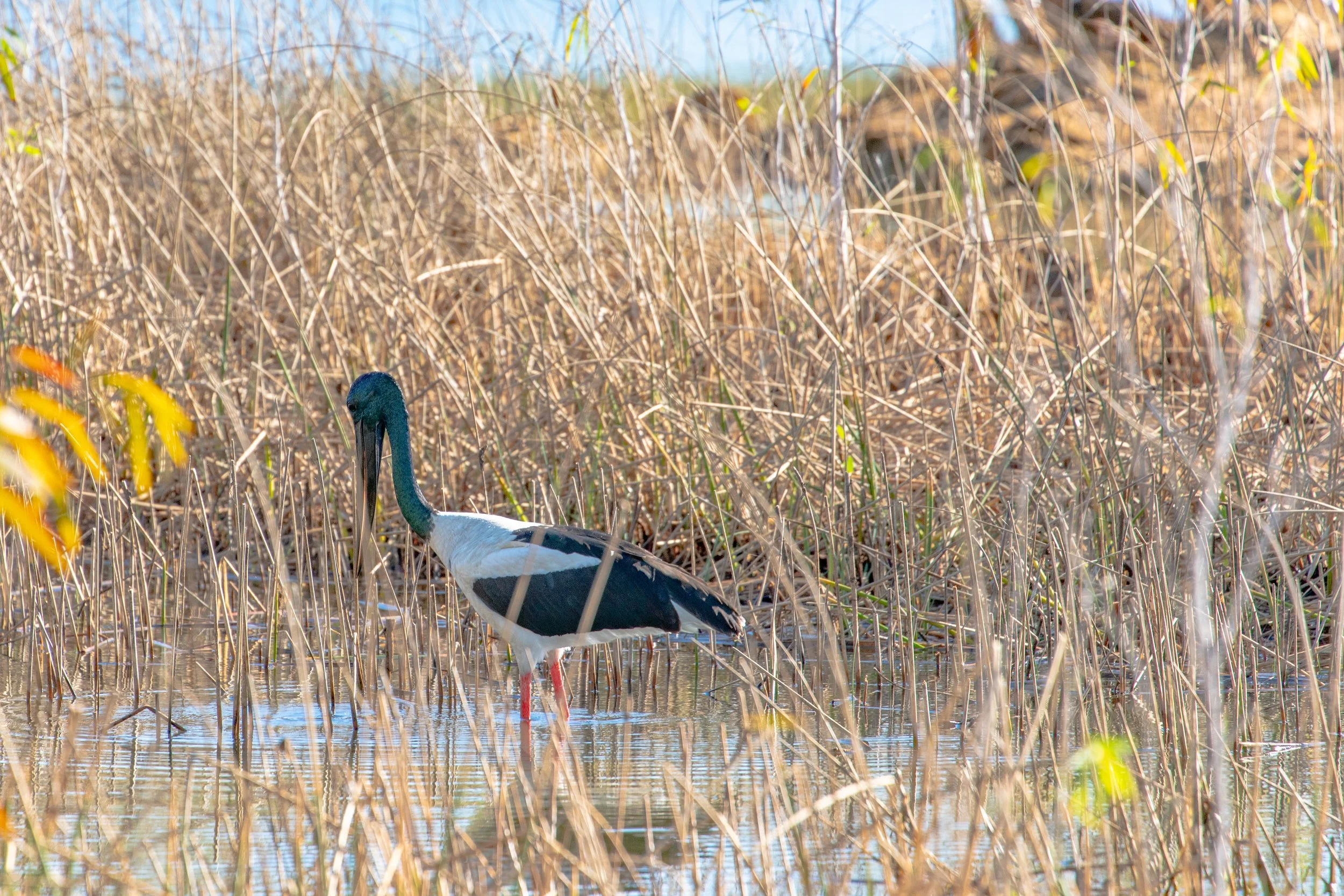 Seeing The Lost City From the Air vs. On the Ground