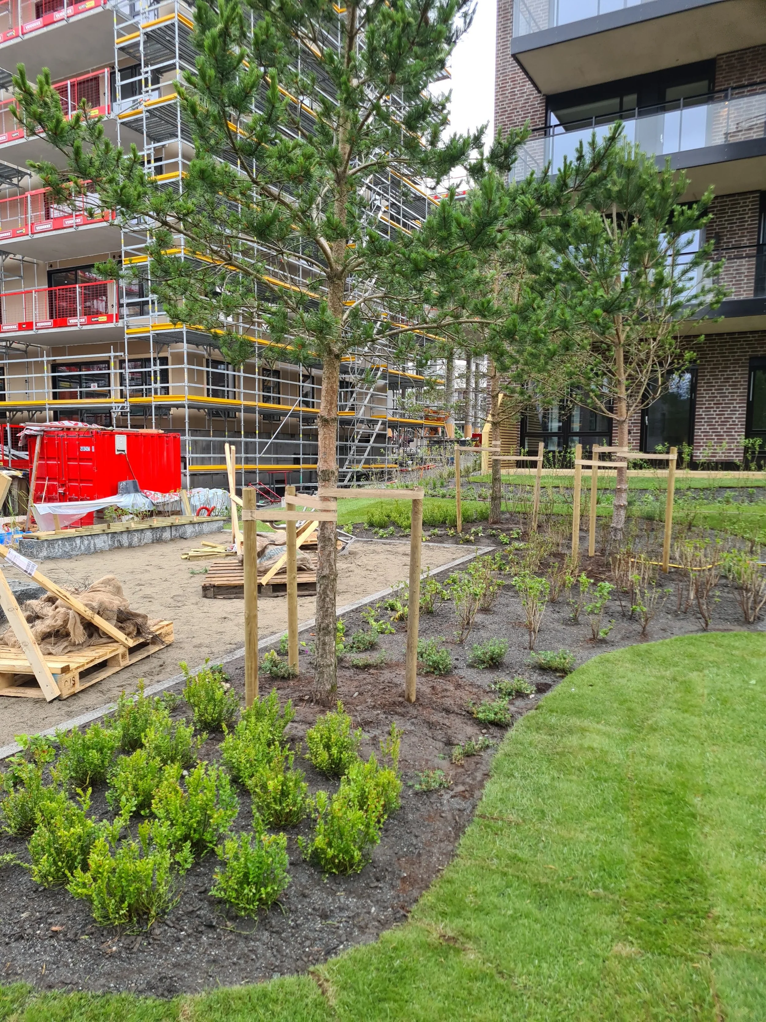 Utsikt over en grønn hage med nyplantede busker og trær, og en bygning under oppussing i bakgrunnen.