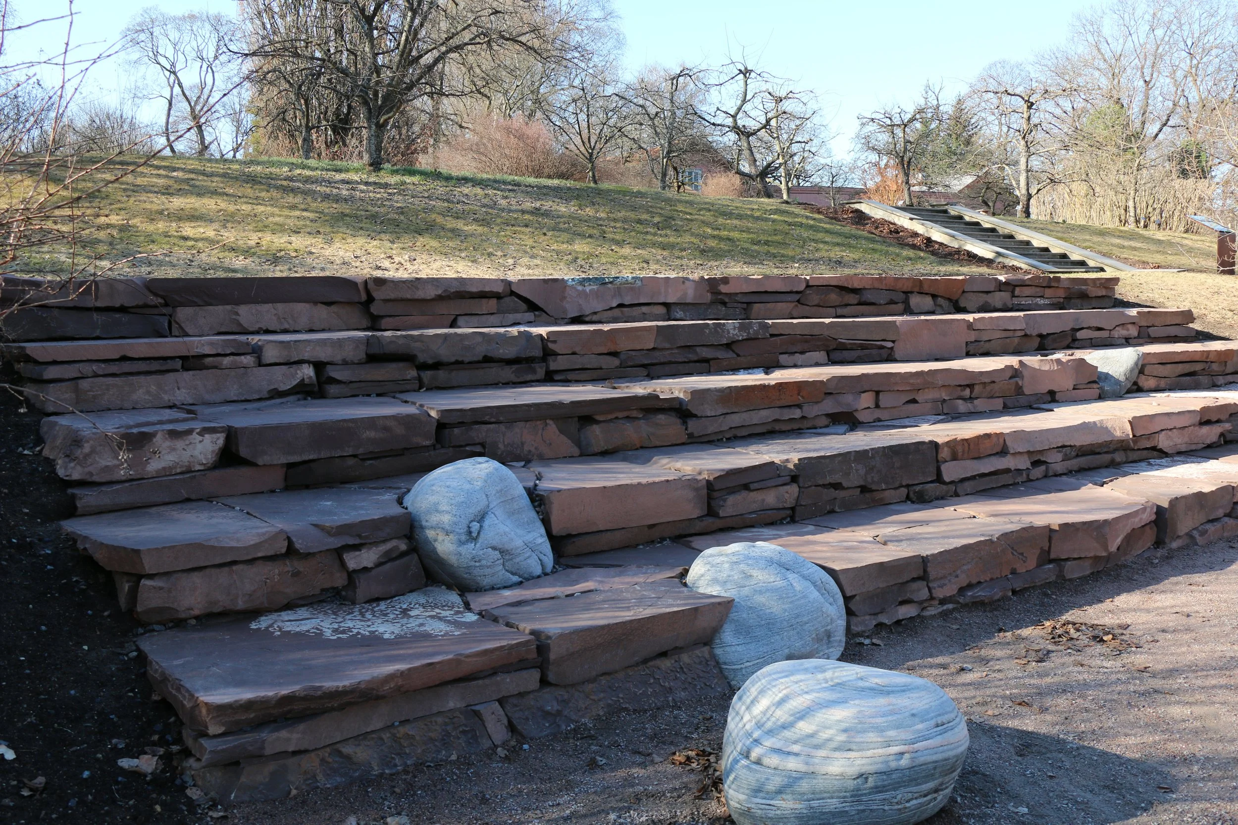 Nytt amfi i Steinamfiet, Botanisk hage