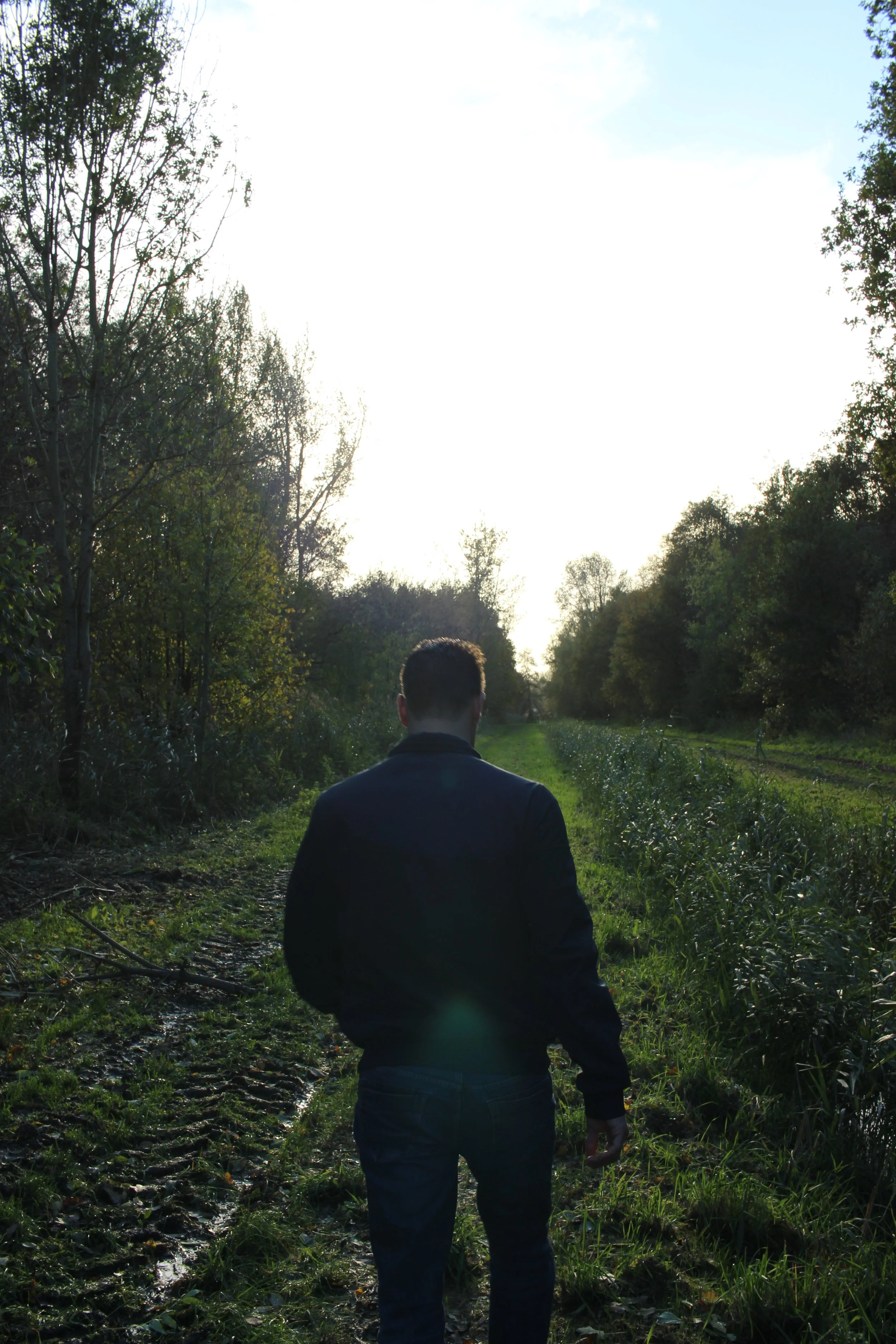 man walking in nature - michiel muller