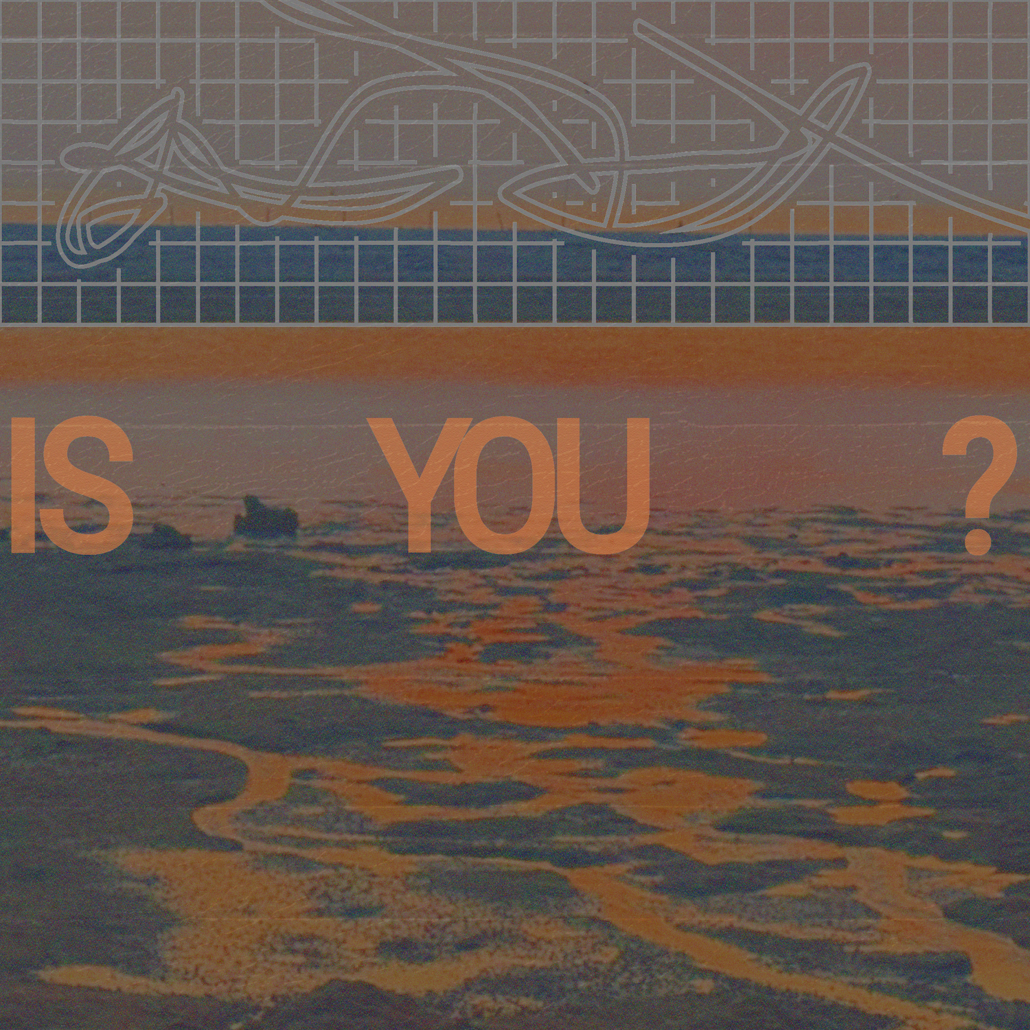 Pijus IS YOU? cover artwork