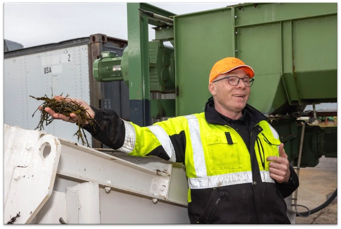 A man in a bright yellow safety jacket and orange cap holds a small bunch of dirt and roots, standing next to industrial machinery outdoors.