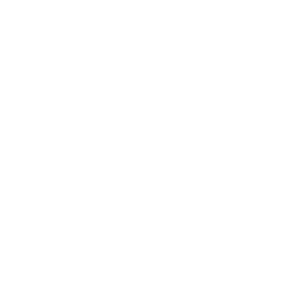 Icon of a document with a shield and checkmark, representing security or verified document.