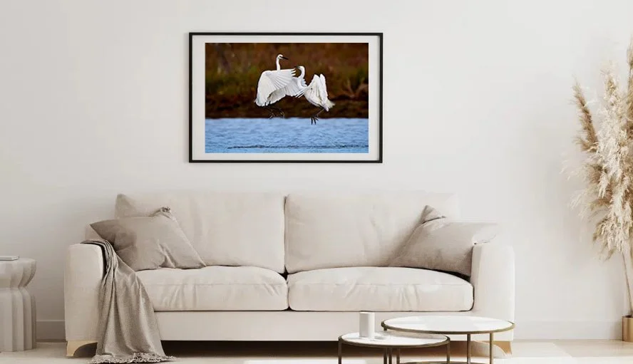 lounge-with image copy.jpg