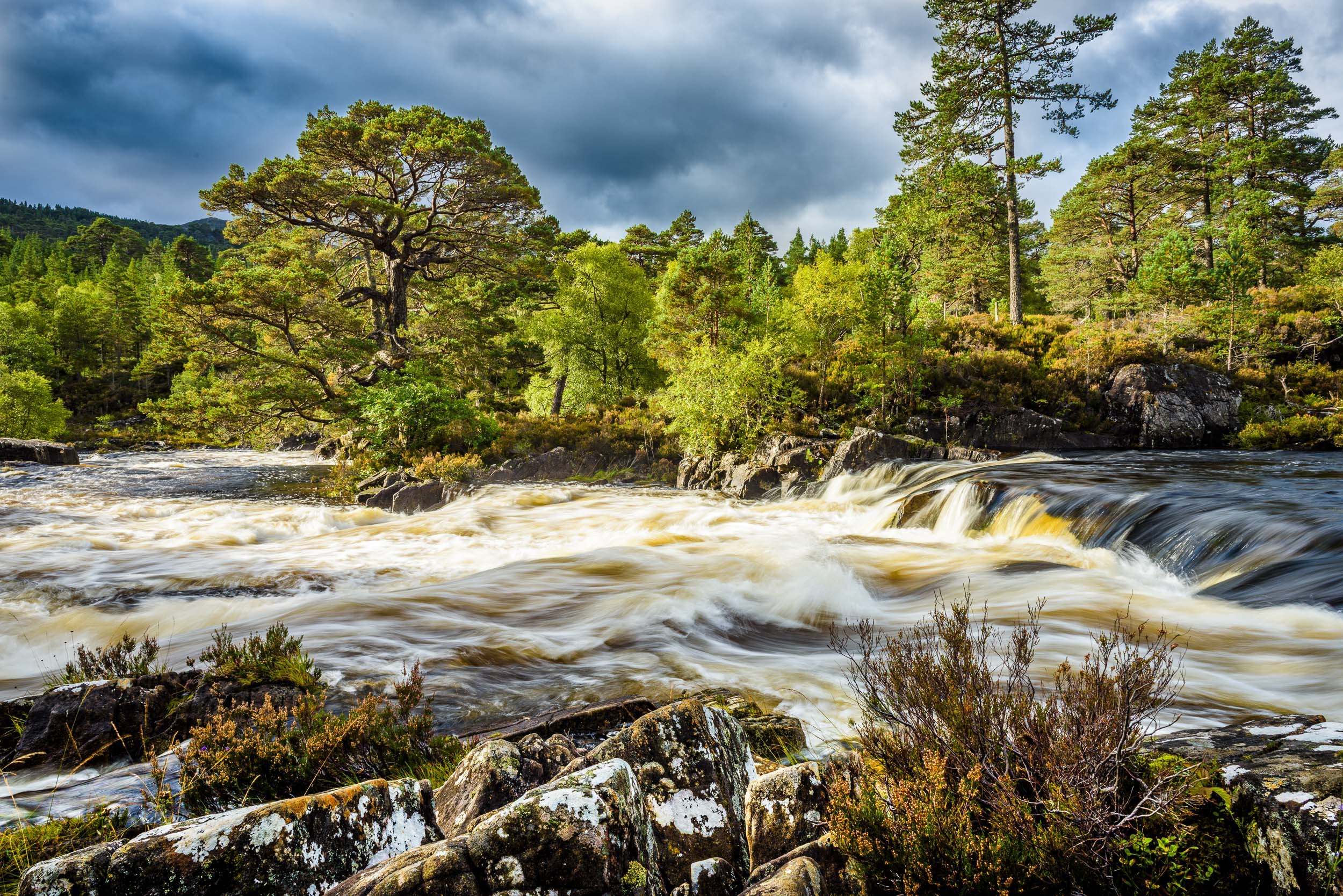davidbuddphotography-the-river-affric-glenn-affric-scotland.jpg