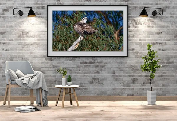 picture frame brickwall lounge.jpg