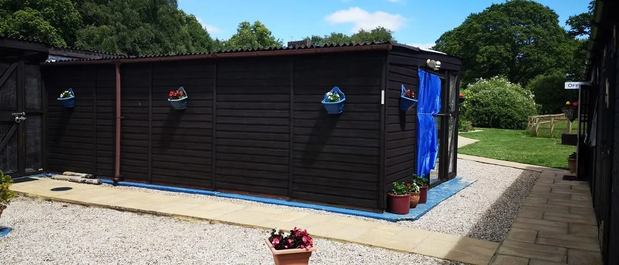 A small black wooden shed with a blue tarp door, four small blue flower baskets on the wall, and potted plants next to the door. The shed is in a garden with a gravel pathway and trees in the background.