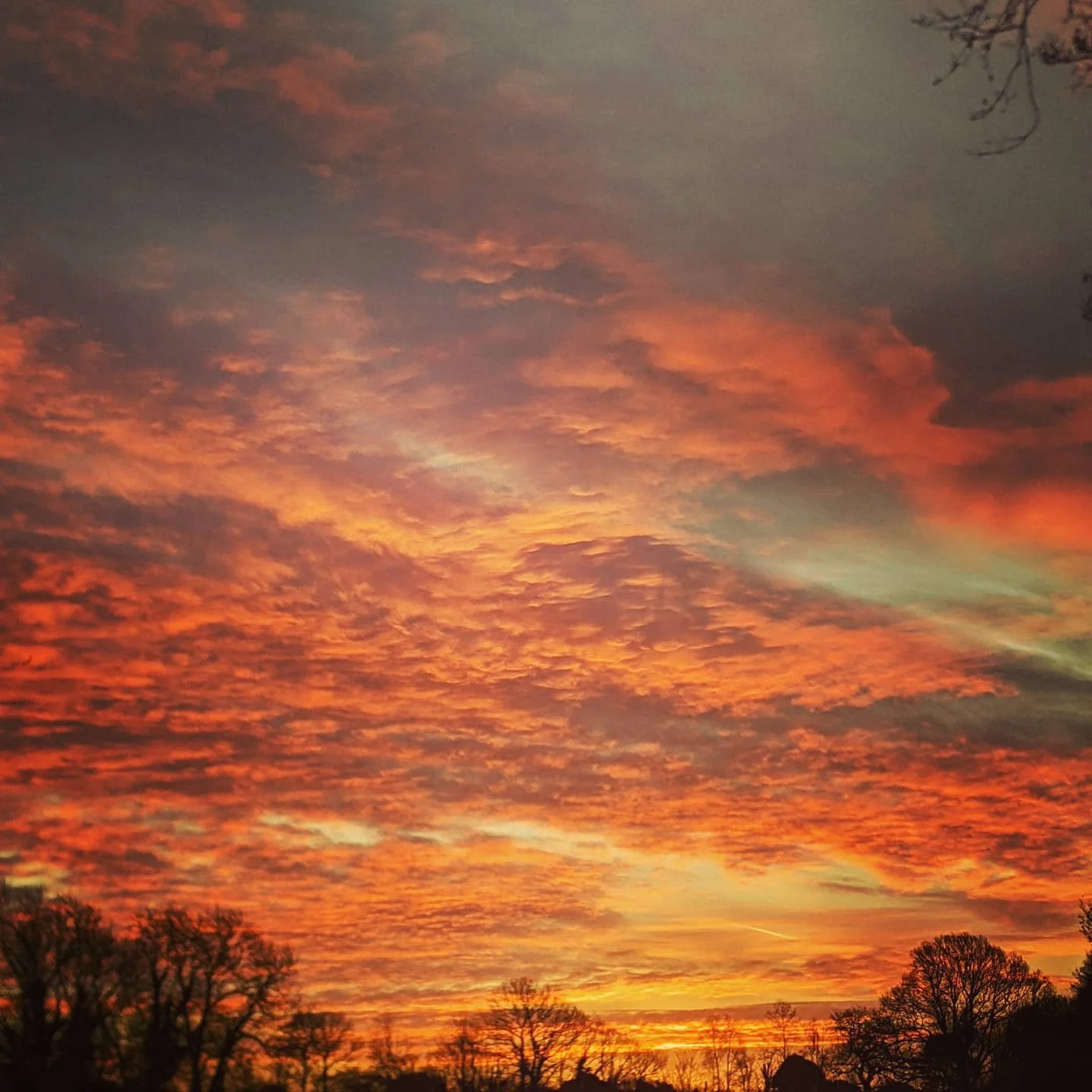 A vibrant sunset sky with orange, pink, and purple clouds above a silhouette of trees.
