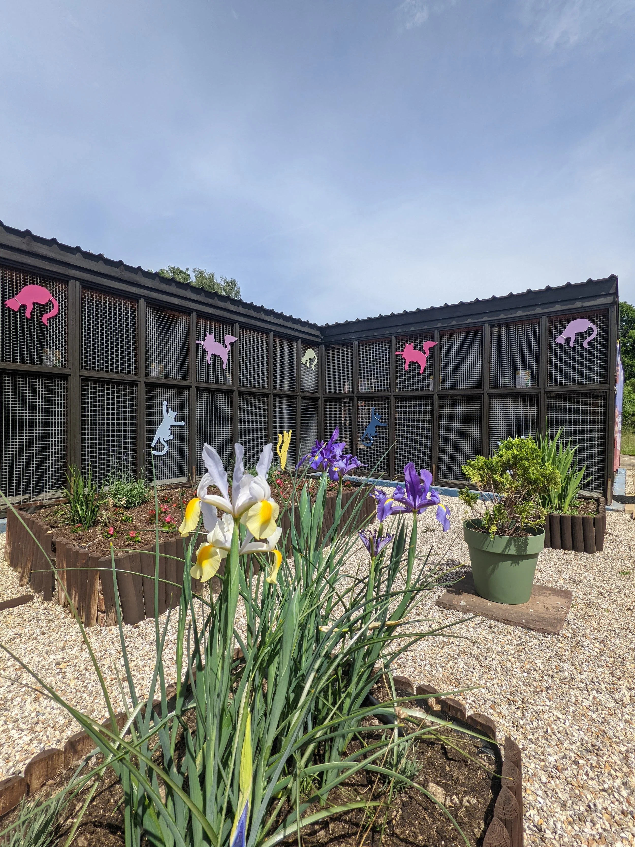 Garden with blooming irises and potted plants, enclosed by a wooden fence with colorful butterfly and cat cutouts, under a partly cloudy sky.