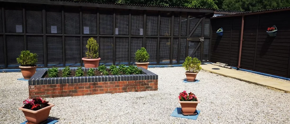 A backyard with a gravel ground, a raised brick garden bed with green plants, and various potted plants, including flowering ones, on the gravel ground. There is a dark wooden fence with lattice panels and planters on the sides.