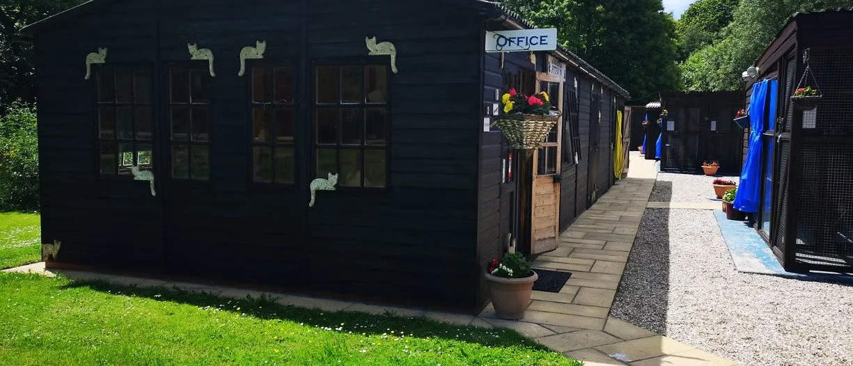 A small black building with white cat decorations on the exterior walls, a sign that says 'Office,' and a pathway with potted plants leading to the entrance.