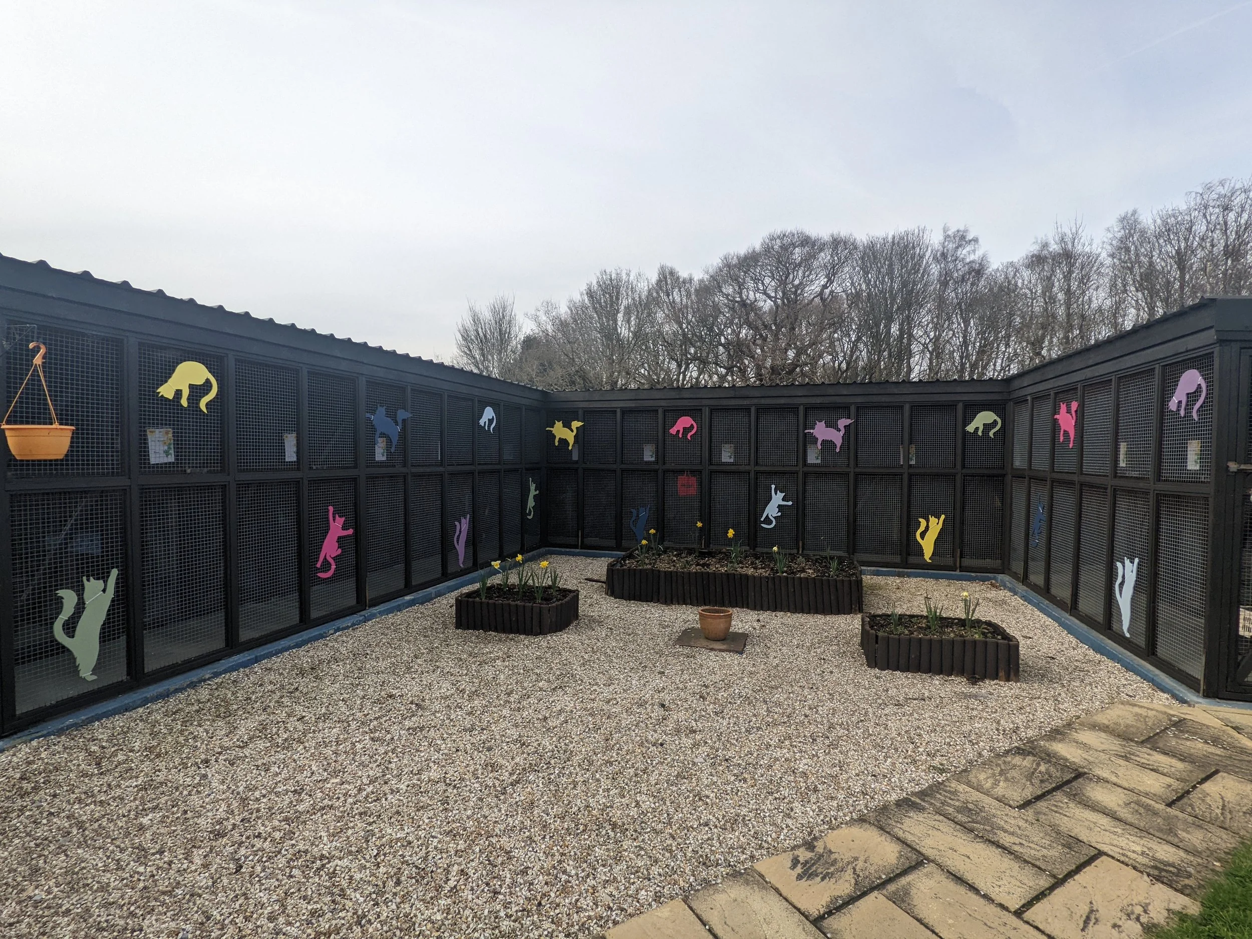 A fenced outdoor enclosure with colorful dog-shaped cutouts on black metal panels and three small wood-bordered garden beds with plants and flowers.