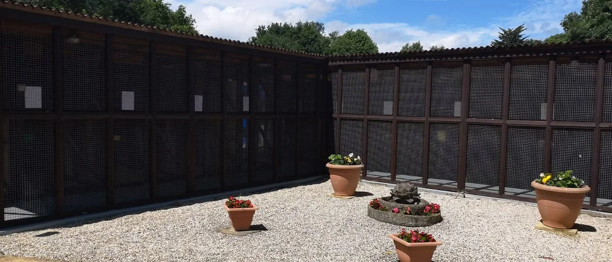 A courtyard with a gravel ground and large terracotta planters filled with flowers, next to a metal fence with a garden in the background and a blue sky with some clouds.